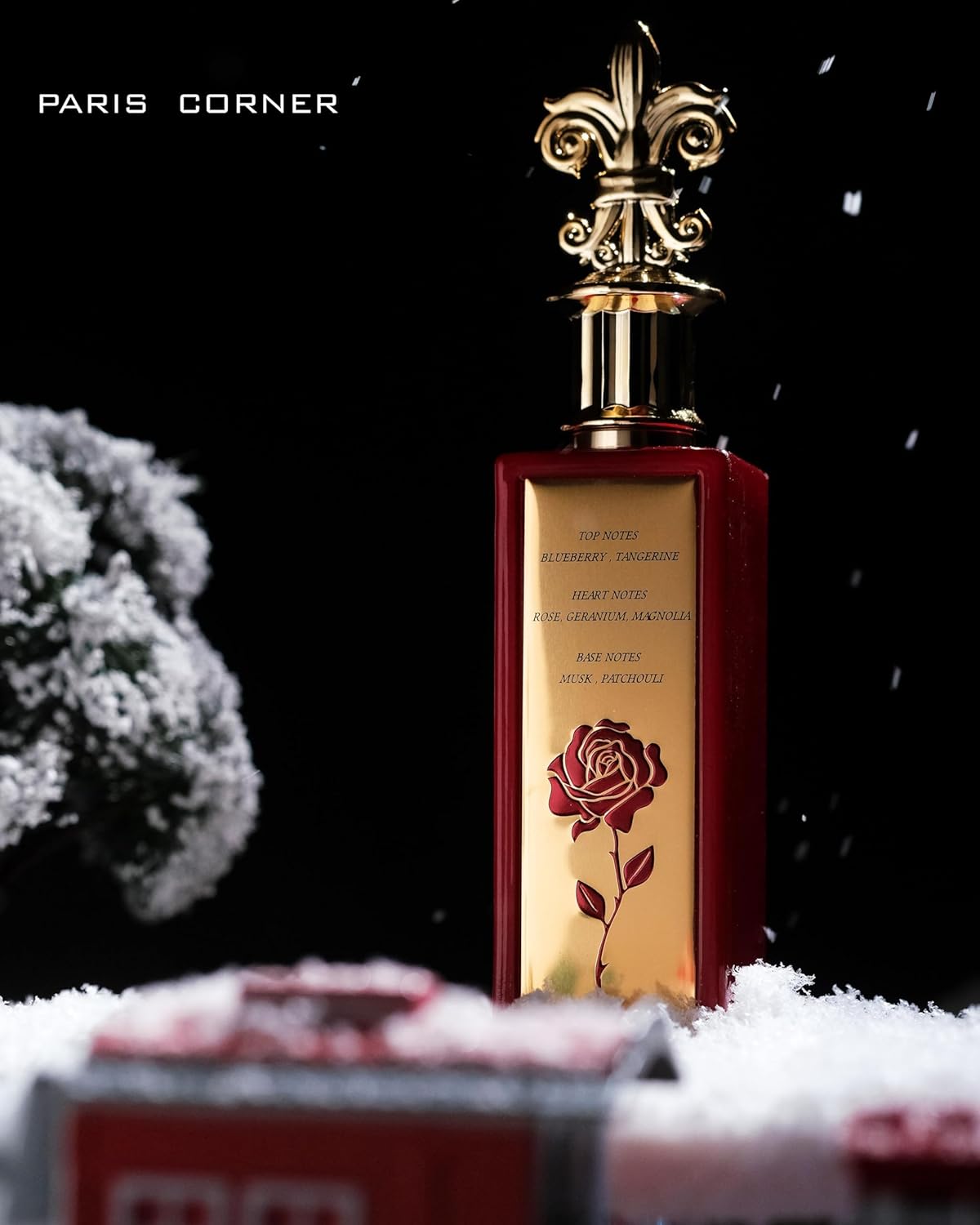 Paris Corner December Rose