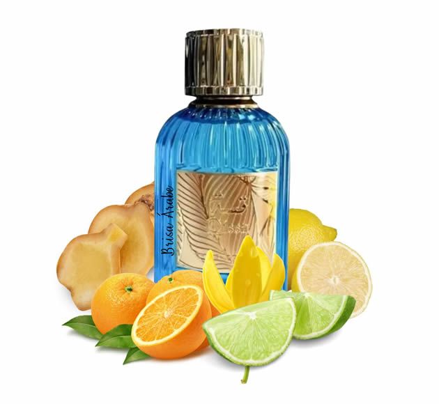 Paris Corner Qissa Blue